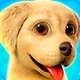 Игры Собаки